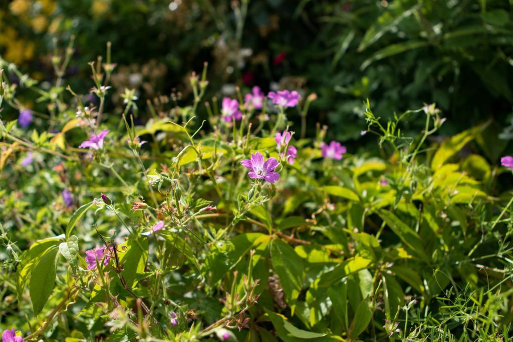 Mareham House Bed & Breakfast Слифорд Экстерьер фото