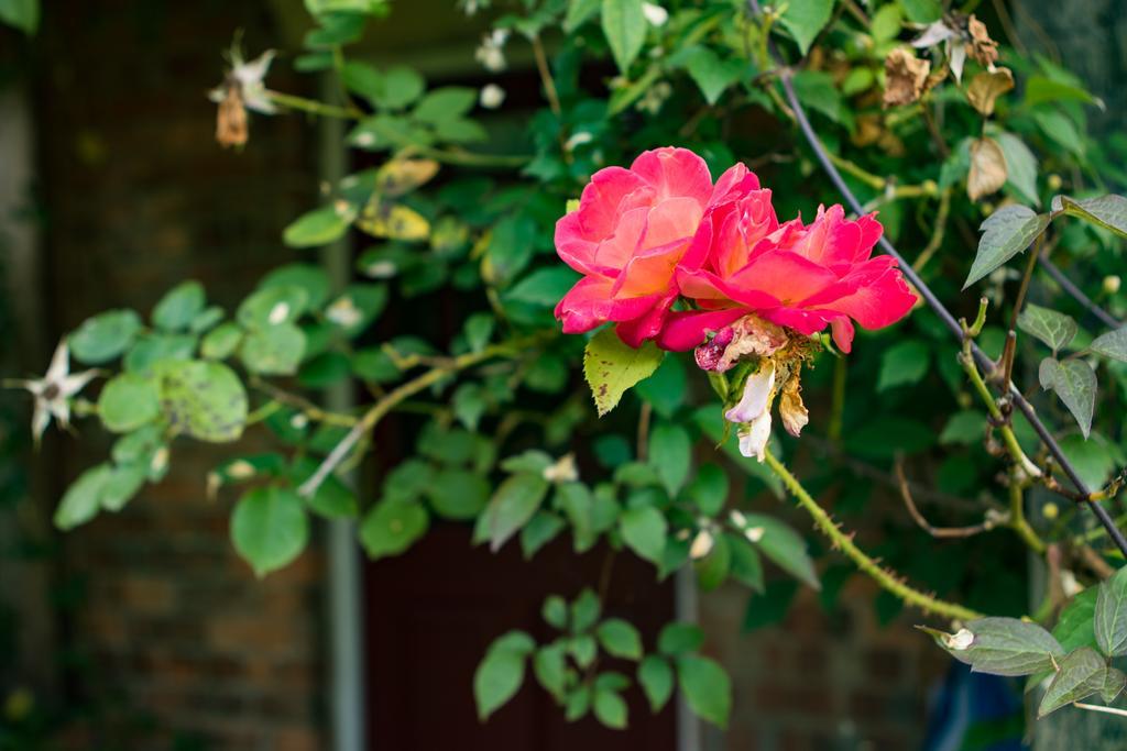 Mareham House Bed & Breakfast Слифорд Экстерьер фото